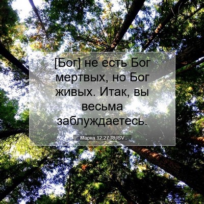 Picture 07 - Марка 12:27 RUSV - [Бог] не есть Бог мертвых, - Bible Verse Picture