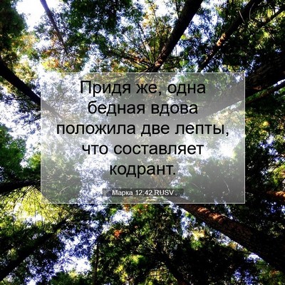 Picture 07 - Марка 12:42 RUSV - Придя же, одна бедная вдова - Bible Verse Picture