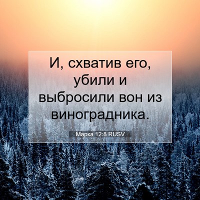 Picture 07 - Марка 12:8 RUSV - И, схватив его, убили и - Bible Verse Picture