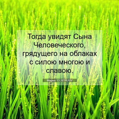 Picture 07 - Марка 13:26 RUSV - Тогда увидят Сына - Bible Verse Picture