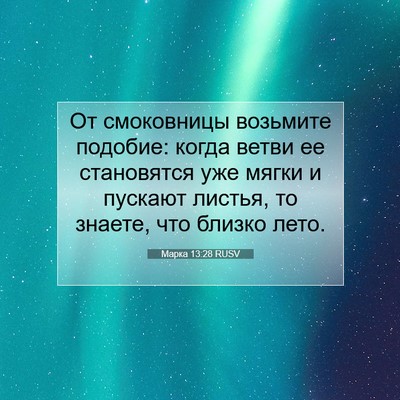 Picture 07 - Марка 13:28 RUSV - От смоковницы возьмите - Bible Verse Picture