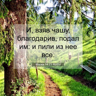 Picture 07 - Марка 14:23 RUSV - И, взяв чашу, благодарив, - Bible Verse Picture