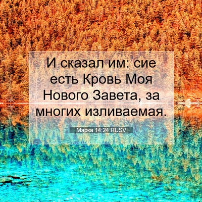 Picture 07 - Марка 14:24 RUSV - И сказал им: сие есть Кровь - Bible Verse Picture