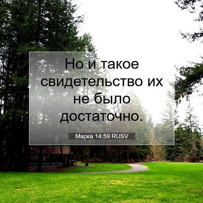 Picture 07 - Марка 14:59 RUSV - Но и такое свидетельство - Bible Verse Picture