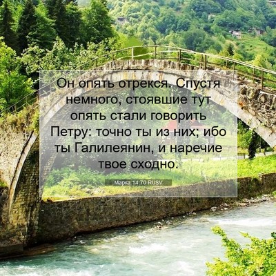 Picture 07 - Марка 14:70 RUSV - Он опять отрекся. Спустя - Bible Verse Picture