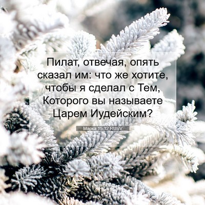 Picture 07 - Марка 15:12 RUSV - Пилат, отвечая, опять - Bible Verse Picture