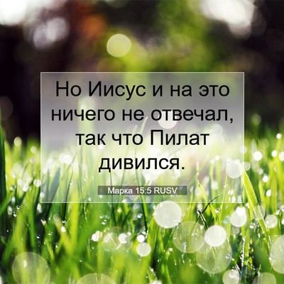Picture 07 - Марка 15:5 RUSV - Но Иисус и на это ничего не - Bible Verse Picture