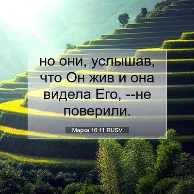Picture 07 - Марка 16:11 RUSV - но они, услышав, что Он жив - Bible Verse Picture