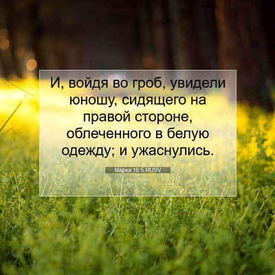 Picture 07 - Марка 16:5 RUSV - И, войдя во гроб, увидели - Bible Verse Picture