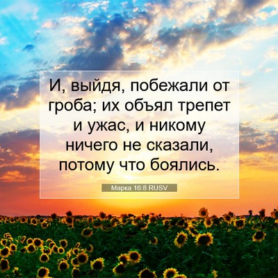 Picture 07 - Марка 16:8 RUSV - И, выйдя, побежали от гроба; - Bible Verse Picture