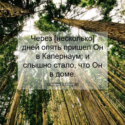 Picture 07 - Марка 2:1 RUSV - Через [несколько] дней - Bible Verse Picture