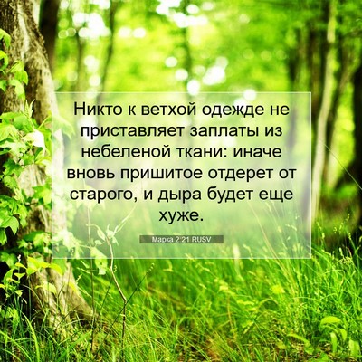 Picture 07 - Марка 2:21 RUSV - Никто к ветхой одежде не - Bible Verse Picture