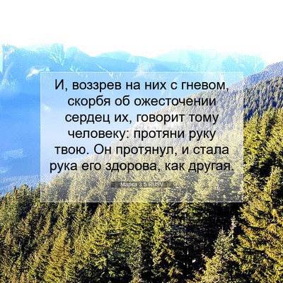 Picture 07 - Марка 3:5 RUSV - И, воззрев на них с гневом, - Bible Verse Picture