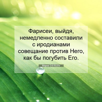 Picture 07 - Марка 3:6 RUSV - Фарисеи, выйдя, немедленно - Bible Verse Picture
