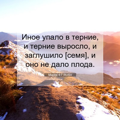 Picture 07 - Марка 4:7 RUSV - Иное упало в терние, и - Bible Verse Picture