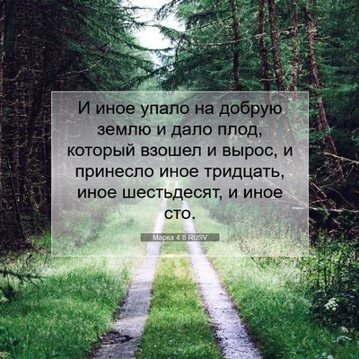 Picture 07 - Марка 4:8 RUSV - И иное упало на добрую - Bible Verse Picture