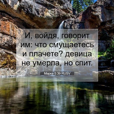 Picture 07 - Марка 5:39 RUSV - И, войдя, говорит им: что - Bible Verse Picture