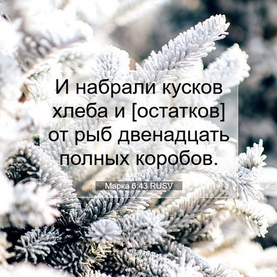 Picture 07 - Марка 6:43 RUSV - И набрали кусков хлеба и - Bible Verse Picture