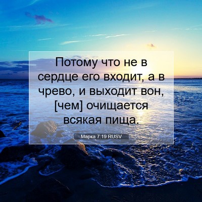 Picture 07 - Марка 7:19 RUSV - Потому что не в сердце его - Bible Verse Picture