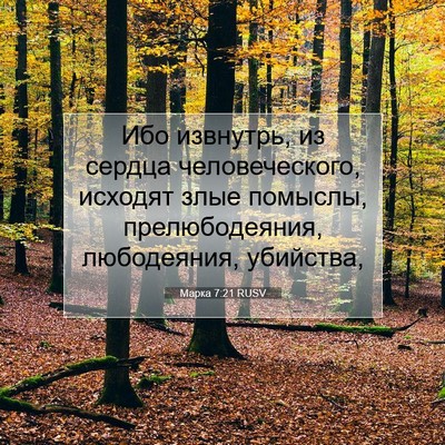 Picture 07 - Марка 7:21 RUSV - Ибо извнутрь, из сердца - Bible Verse Picture