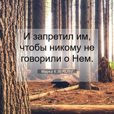 Picture 07 - Марка 8:30 RUSV - И запретил им, чтобы никому - Bible Verse Picture