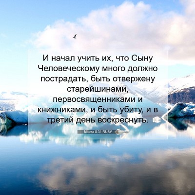 Picture 07 - Марка 8:31 RUSV - И начал учить их, что Сыну - Bible Verse Picture