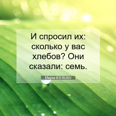 Picture 07 - Марка 8:5 RUSV - И спросил их: сколько у вас - Bible Verse Picture