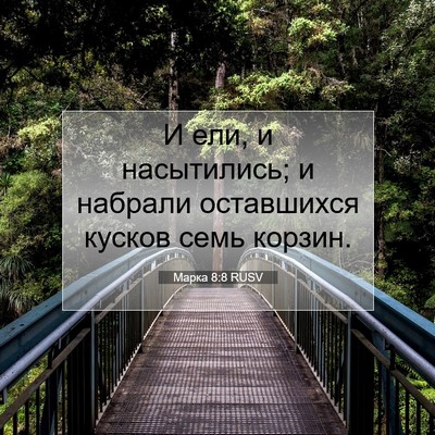 Picture 07 - Марка 8:8 RUSV - И ели, и насытились; и - Bible Verse Picture