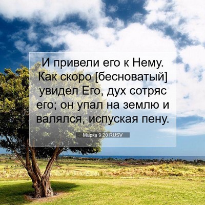 Picture 07 - Марка 9:20 RUSV - И привели его к Нему. Как - Bible Verse Picture