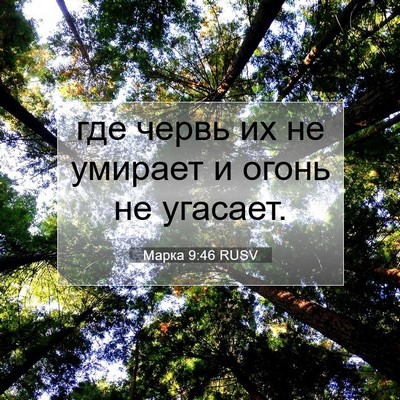 Picture 07 - Марка 9:46 RUSV - где червь их не умирает и - Bible Verse Picture