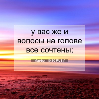 Picture 07 - Матфея 10:30 RUSV - у вас же и волосы на голове - Bible Verse Picture