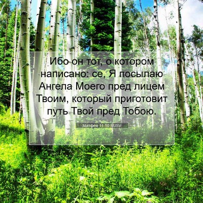 Picture 07 - Матфея 11:10 RUSV - Ибо он тот, о котором - Bible Verse Picture