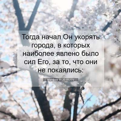 Picture 07 - Матфея 11:20 RUSV - Тогда начал Он укорять - Bible Verse Picture