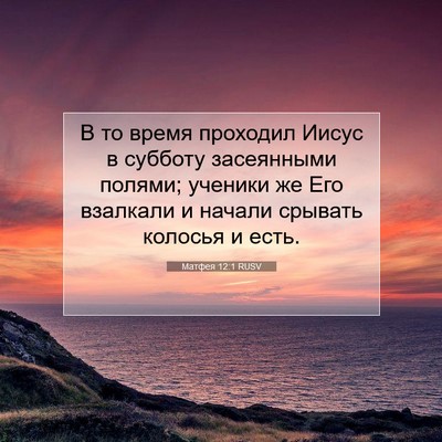 Picture 07 - Матфея 12:1 RUSV - В то время проходил Иисус в - Bible Verse Picture