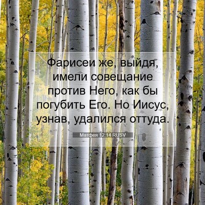 Picture 07 - Матфея 12:14 RUSV - Фарисеи же, выйдя, имели - Bible Verse Picture