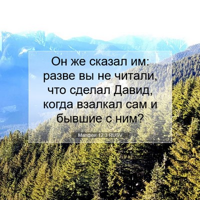 Picture 07 - Матфея 12:3 RUSV - Он же сказал им: разве вы не - Bible Verse Picture