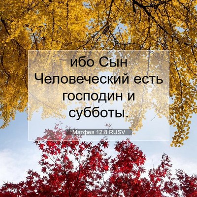 Picture 07 - Матфея 12:8 RUSV - ибо Сын Человеческий есть - Bible Verse Picture