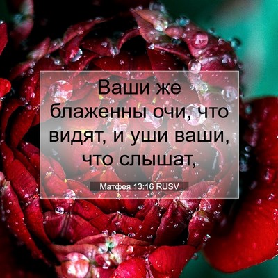 Picture 07 - Матфея 13:16 RUSV - Ваши же блаженны очи, что - Bible Verse Picture