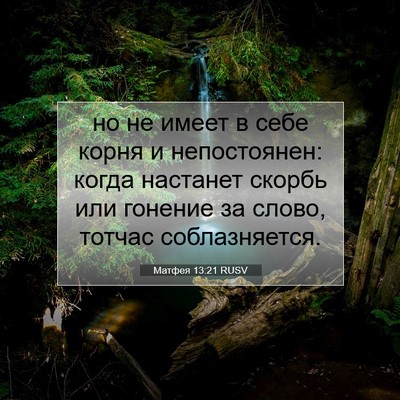 Picture 07 - Матфея 13:21 RUSV - но не имеет в себе корня и - Bible Verse Picture