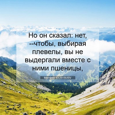 Picture 07 - Матфея 13:29 RUSV - Но он сказал: нет, --чтобы, - Bible Verse Picture