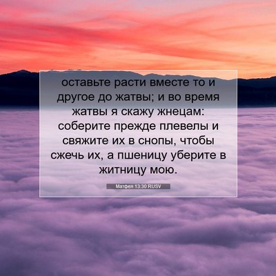 Picture 07 - Матфея 13:30 RUSV - оставьте расти вместе то и - Bible Verse Picture