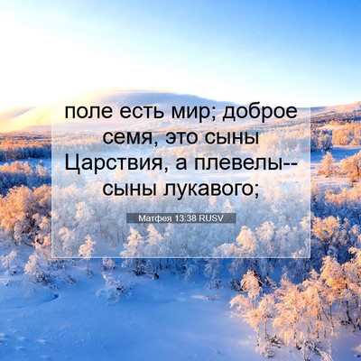 Picture 07 - Матфея 13:38 RUSV - поле есть мир; доброе семя, - Bible Verse Picture