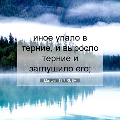 Picture 07 - Матфея 13:7 RUSV - иное упало в терние, и - Bible Verse Picture