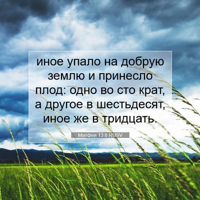 Picture 07 - Матфея 13:8 RUSV - иное упало на добрую землю - Bible Verse Picture