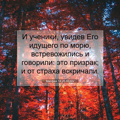 Picture 07 - Матфея 14:26 RUSV - И ученики, увидев Его - Bible Verse Picture