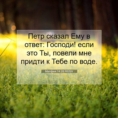 Picture 07 - Матфея 14:28 RUSV - Петр сказал Ему в ответ: - Bible Verse Picture