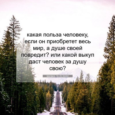 Picture 07 - Матфея 16:26 RUSV - какая польза человеку, - Bible Verse Picture
