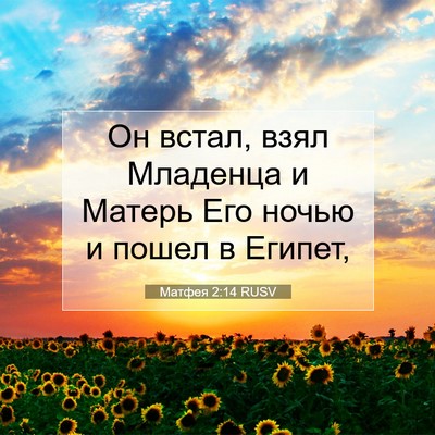 Picture 07 - Матфея 2:14 RUSV - Он встал, взял Младенца и - Bible Verse Picture