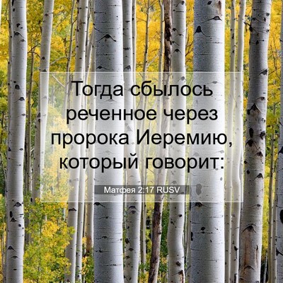 Picture 07 - Матфея 2:17 RUSV - Тогда сбылось реченное - Bible Verse Picture
