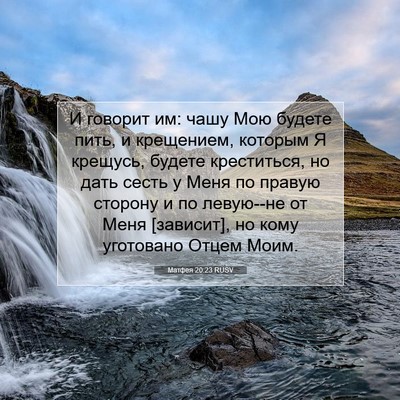 Picture 07 - Матфея 20:23 RUSV - И говорит им: чашу Мою - Bible Verse Picture